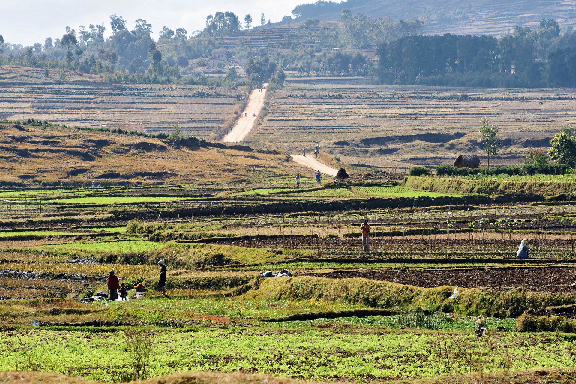 Wanderung vom Lac Tritriva zum Lac Andraikiba